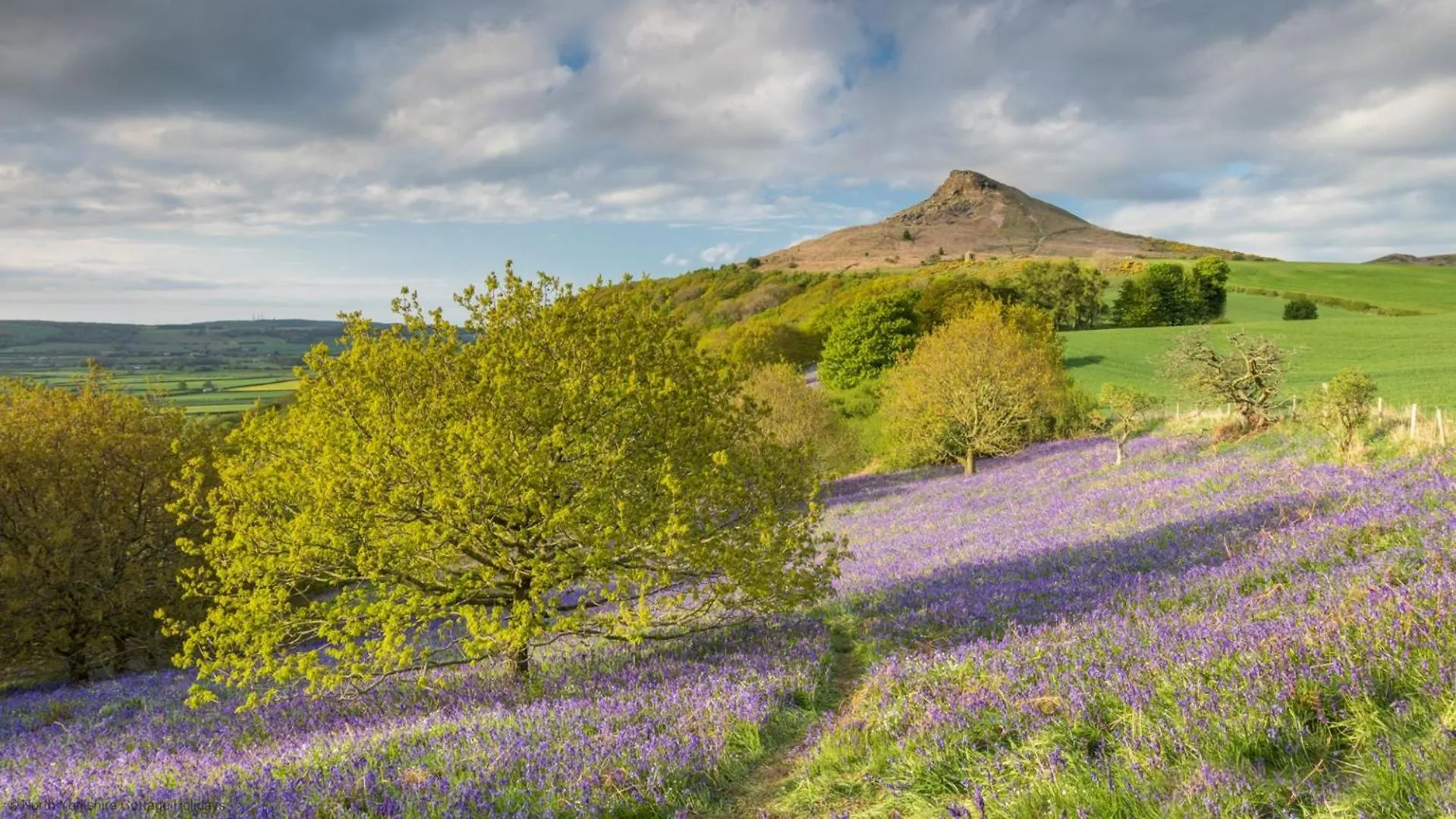 بيت للعطل Stone Cottage In Picturesque North Yorkshire Village - Bull Dog Cottage Ampleforth