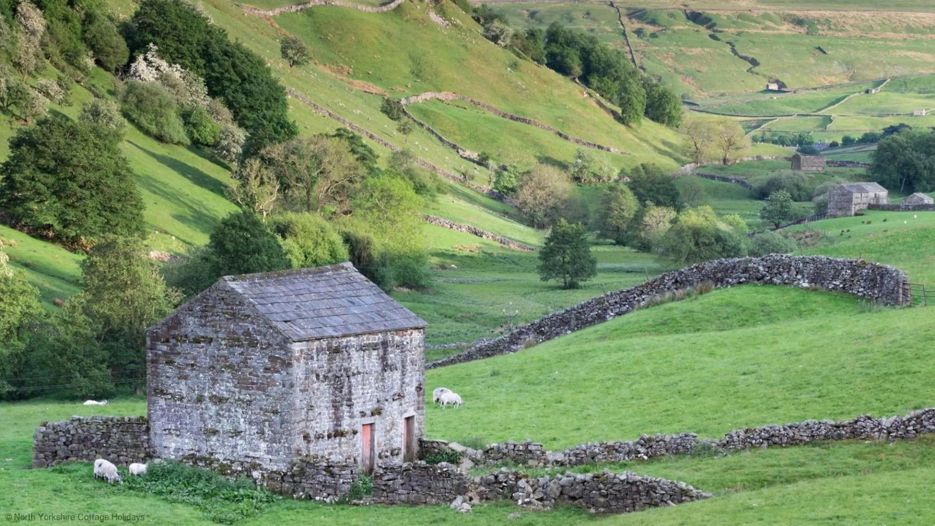 Stone Cottage In Picturesque North Yorkshire Village - Bull Dog Cottage Ampleforth بيت للعطل